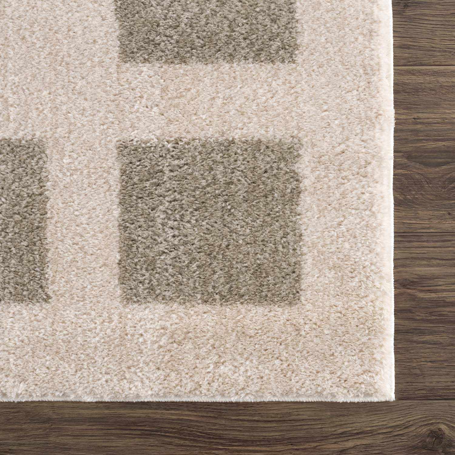 Beynon Gray Washable Area Rug - Ornate Home