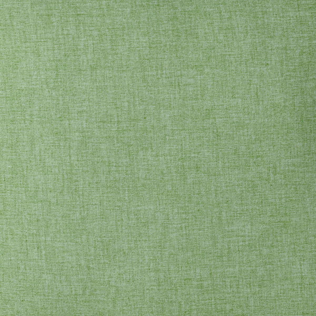 Biscayne Palm Green 20"x20" Throw Pillow (Set of 2)