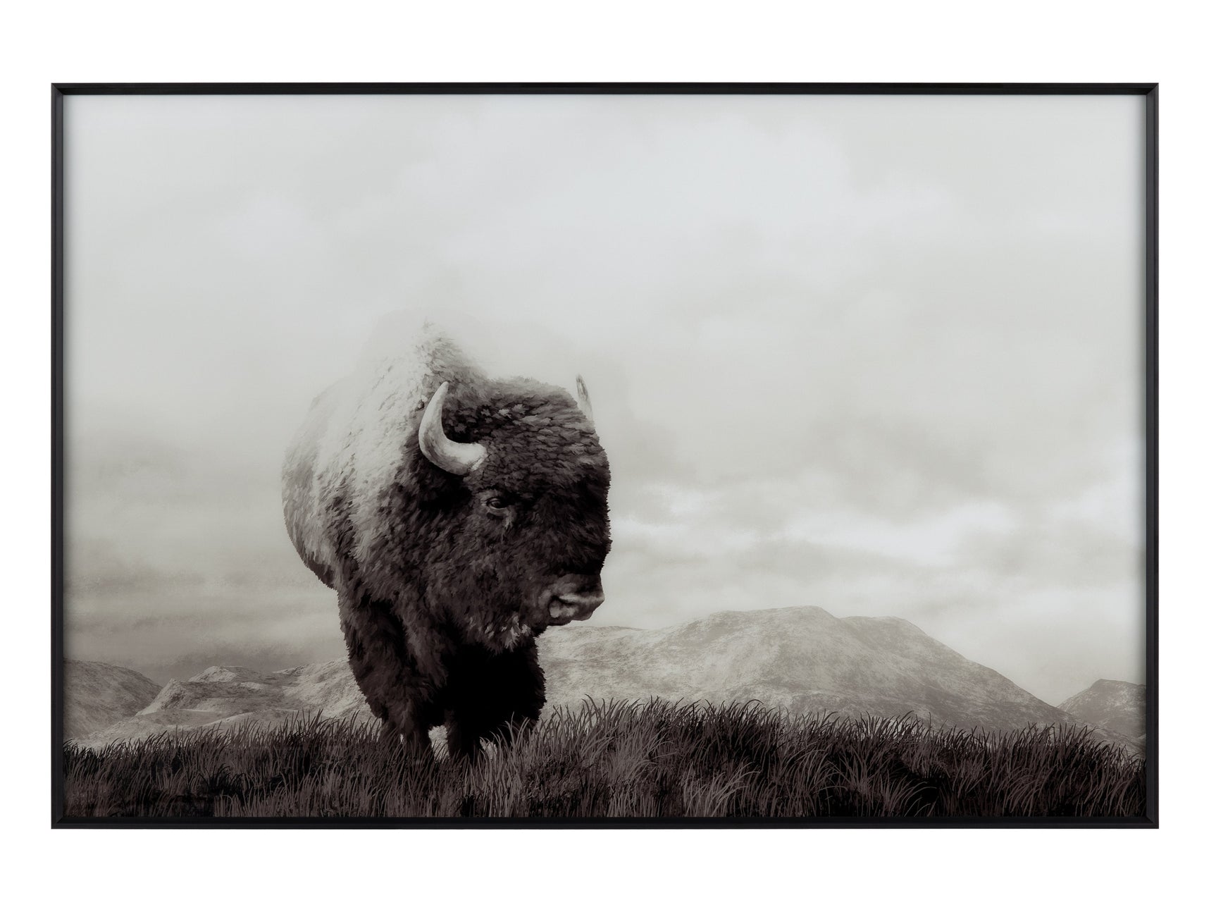 Bison Life Grey/White Print