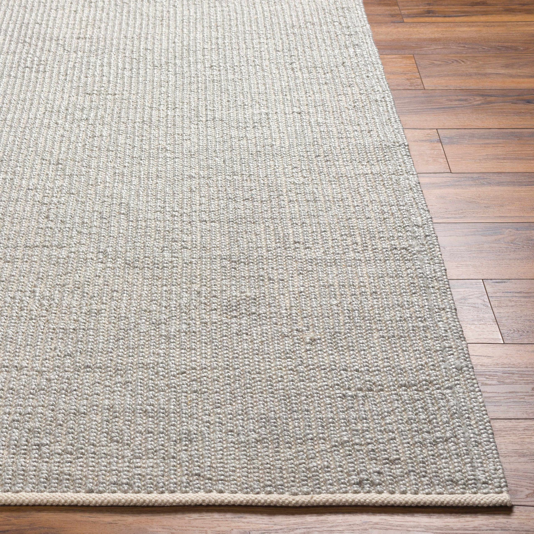 Blaga Area Rug - Clearance - Ornate Home