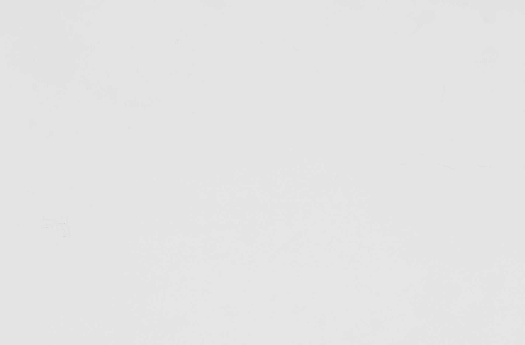 Blaire Farm White Mirror - Ornate Home