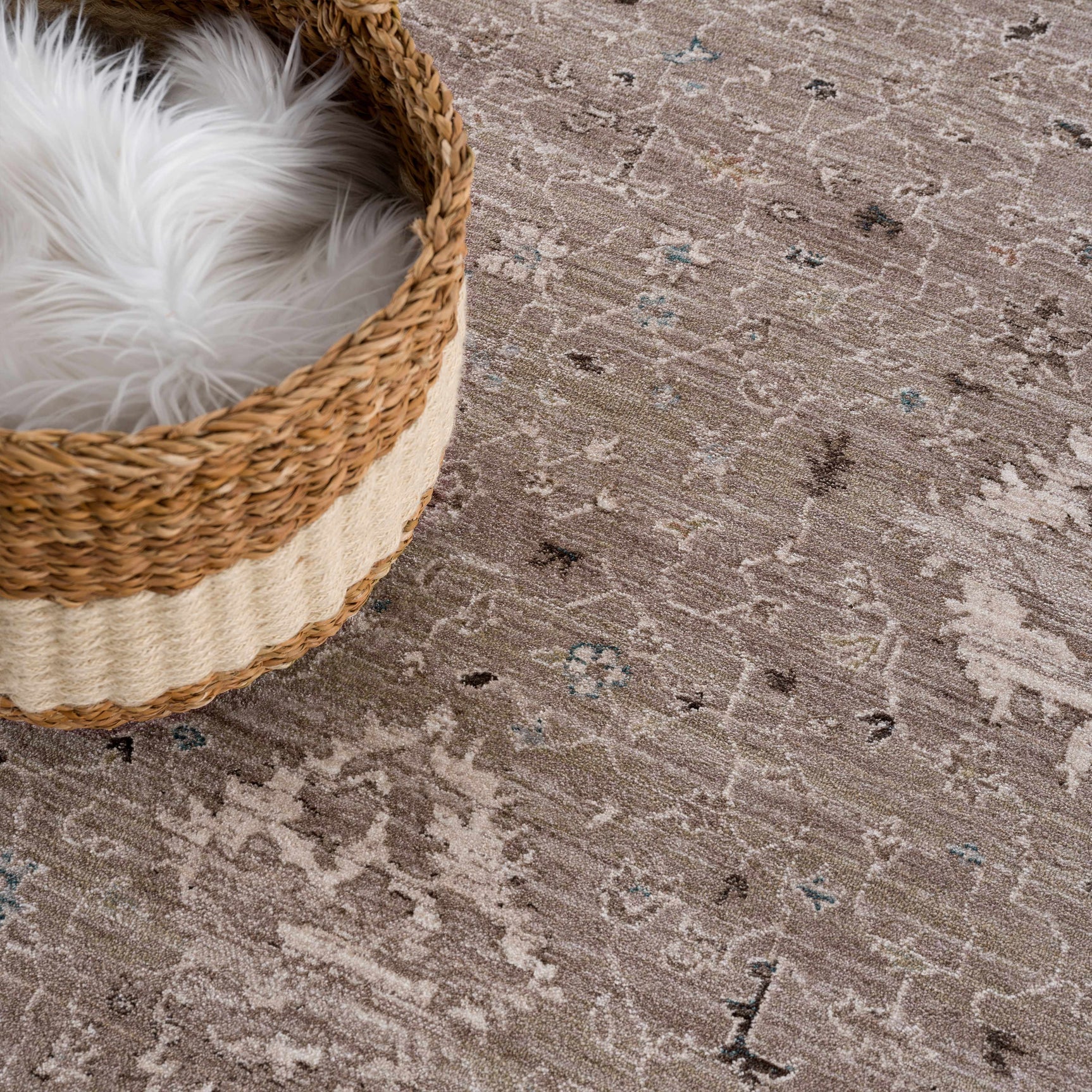 Bolitoc Area Rug - Clearance - Ornate Home