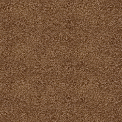 Bolsena Caramel Leather Loveseat (Online Special Price) - Ornate Home