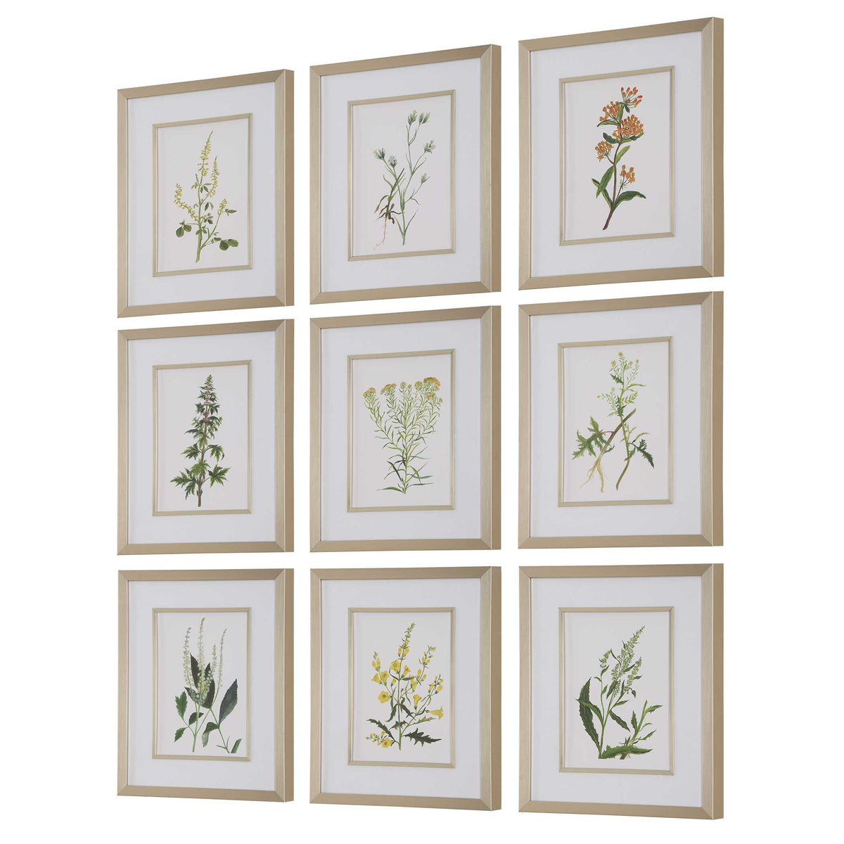 Botanical Flowers Multicolor Framed Prints (Set of 9) - Ornate Home