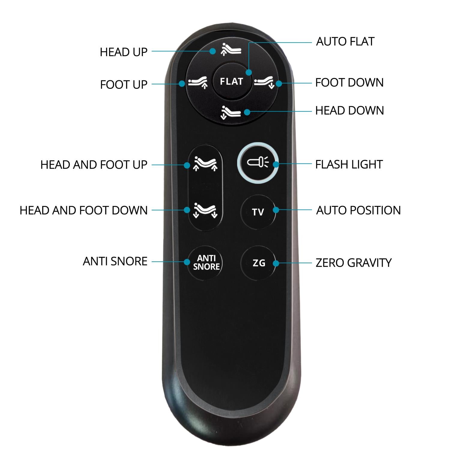 Boyd Sleep E. King EZ Flex 230 Adjustable Base 803 - Ornate Home