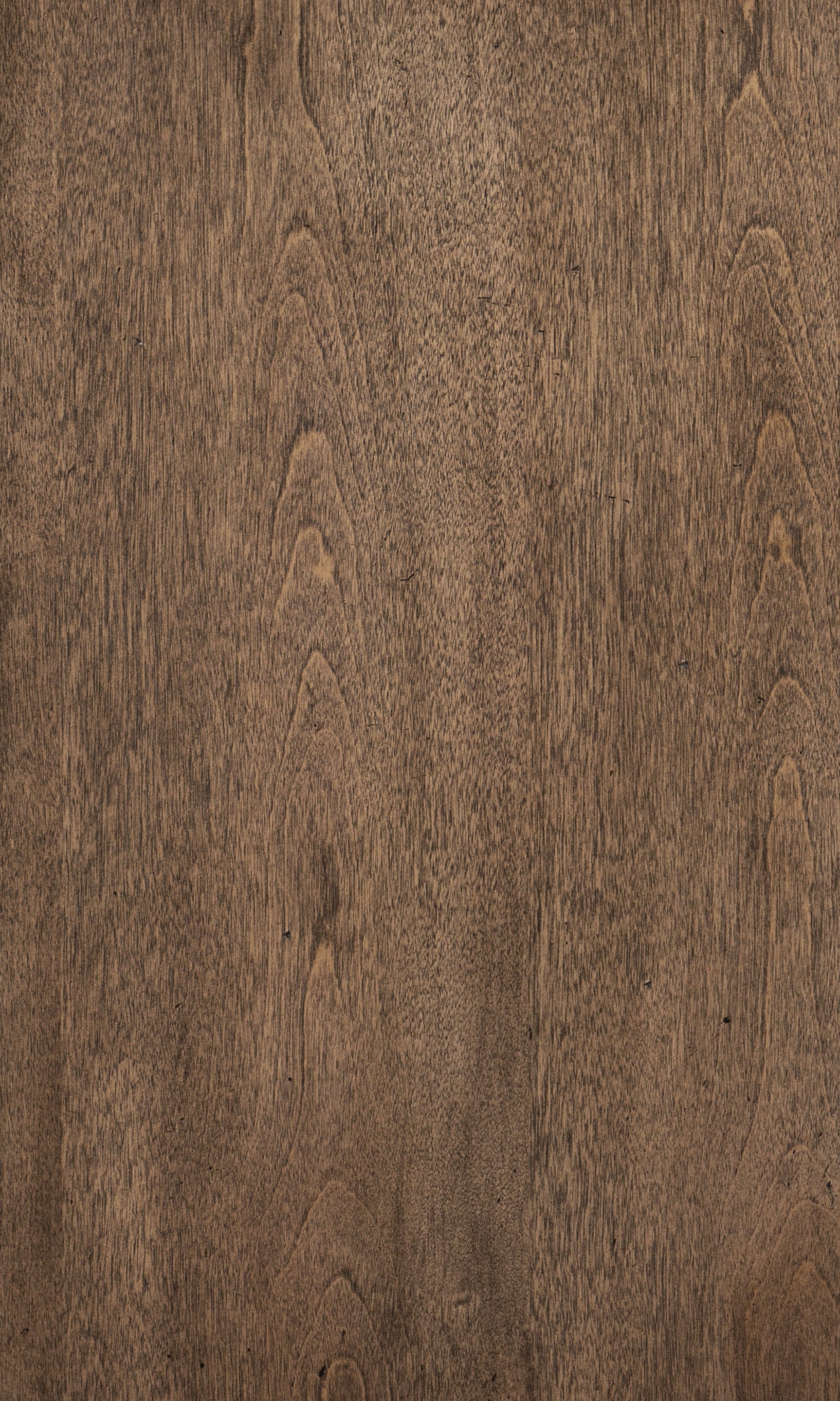 Brevard Light Brown Mirror - Ornate Home