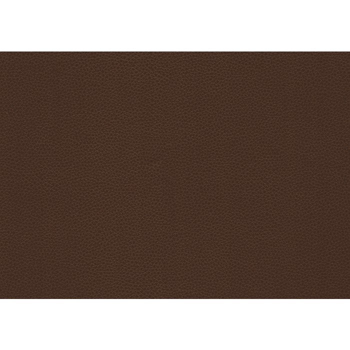 Briscoe Brown Double Reclining Sofas - Ornate Home