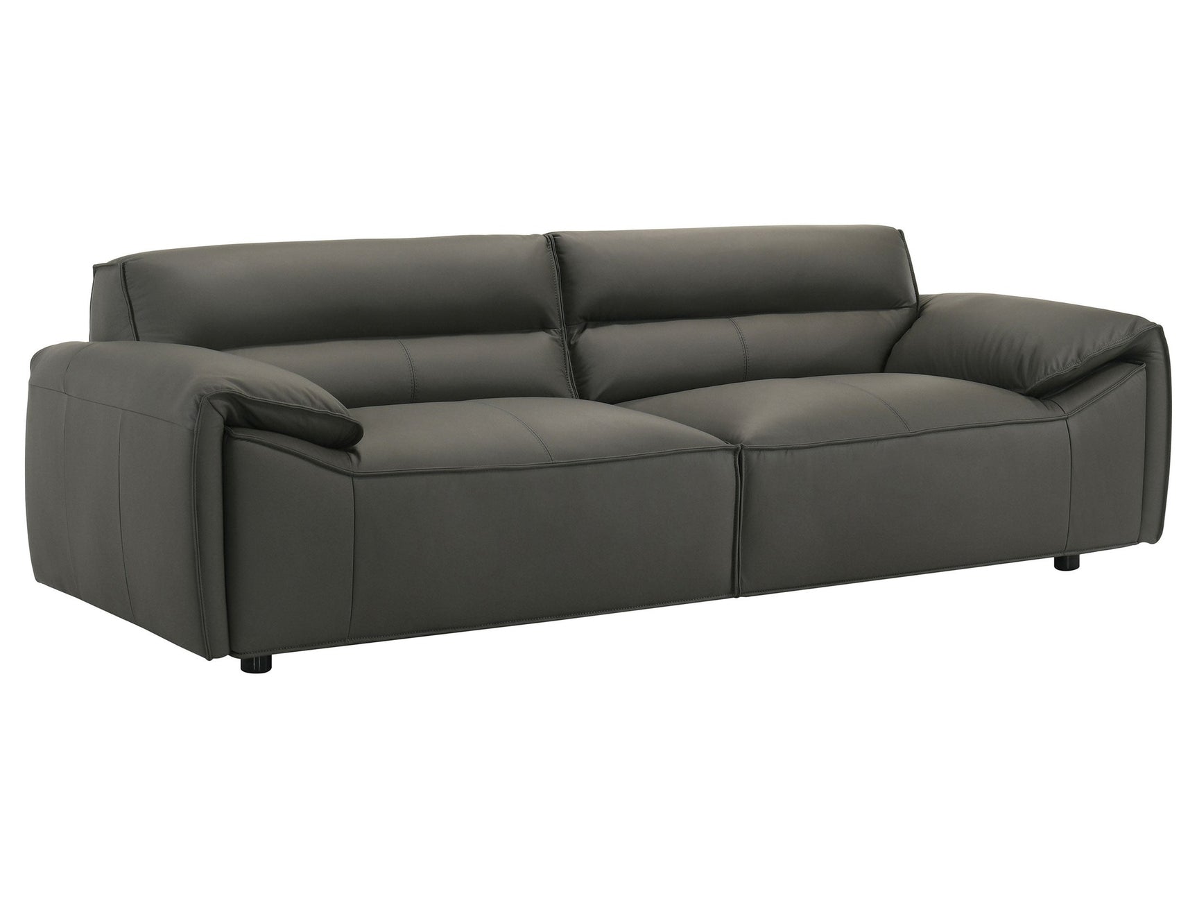 Buxton Graphite Top Grain Leather Upholstered Sofa - Ornate Home