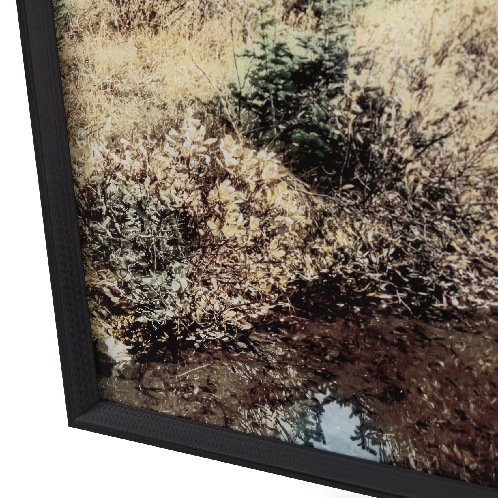 Wheeler Green/Brown Wall Art