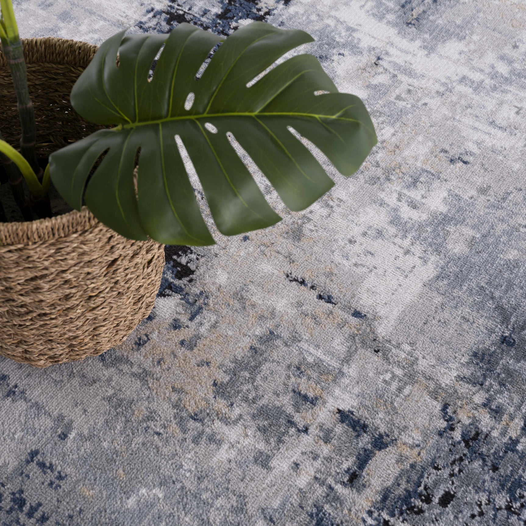 Campsall Area Rug - Promo - Ornate Home