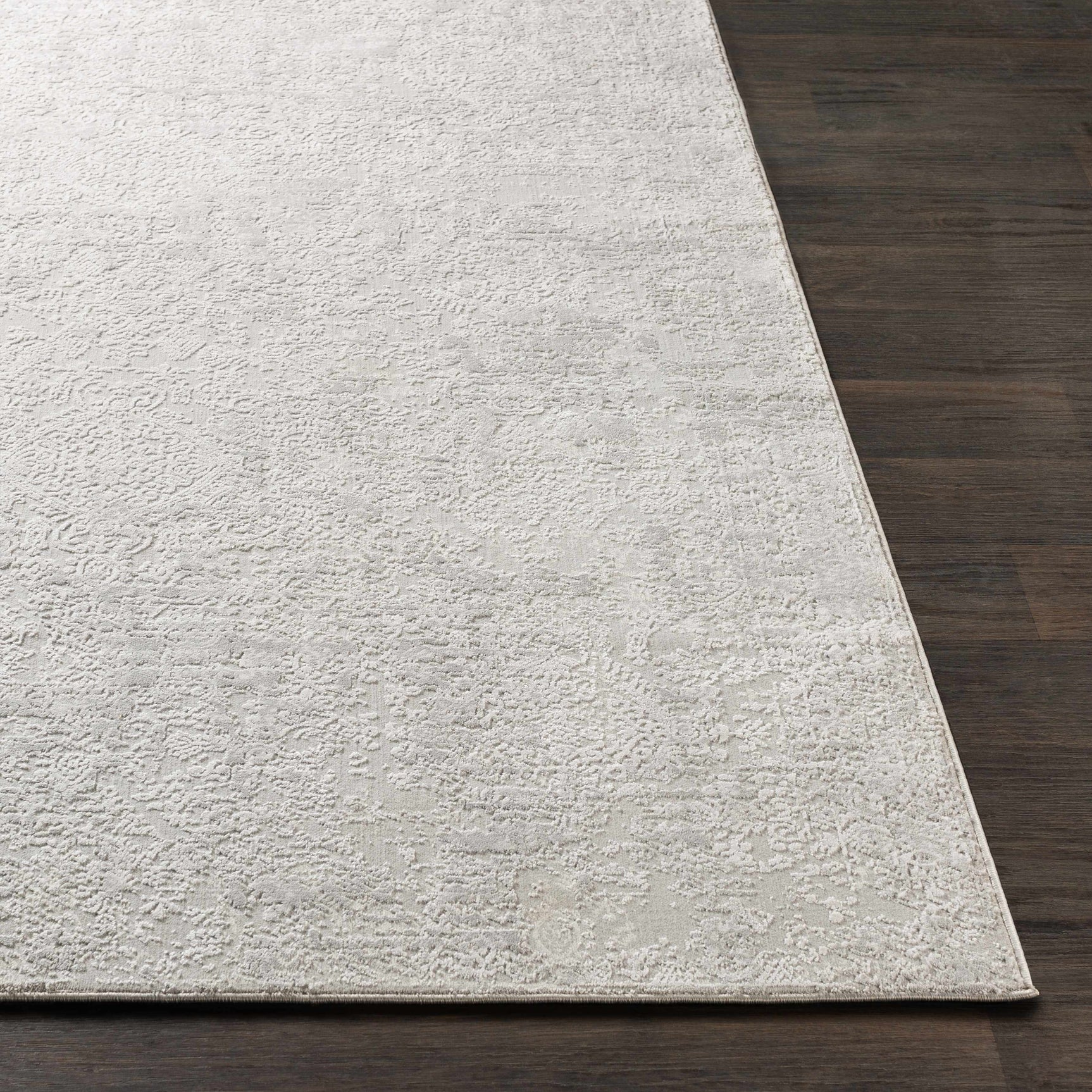 Canaseraga Area Rug - Clearance - Ornate Home