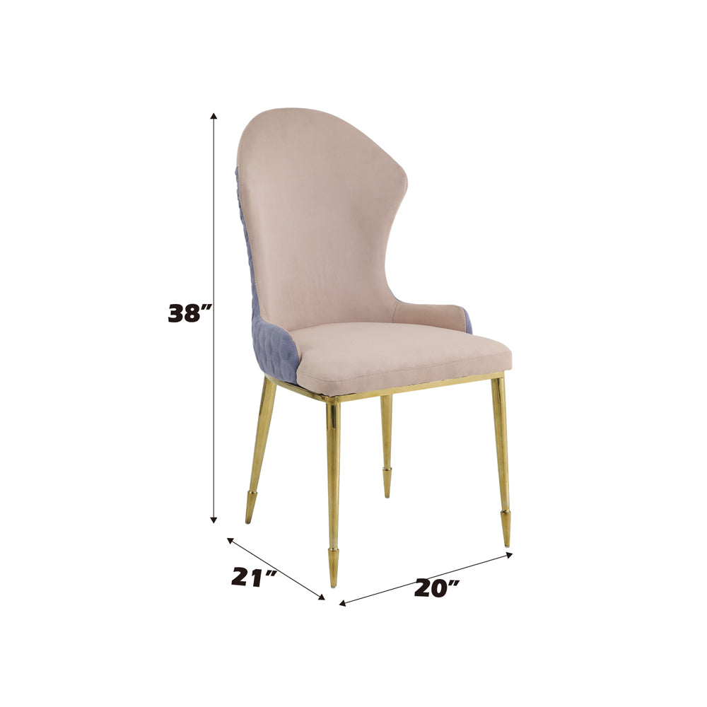 Caolan Side Chair (Set-2) - Ornate Home