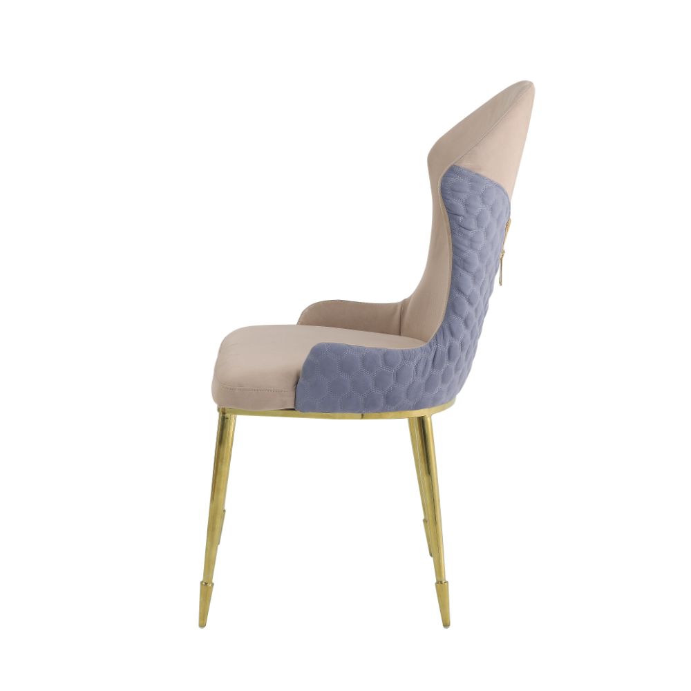 Caolan Side Chair (Set-2) - Ornate Home
