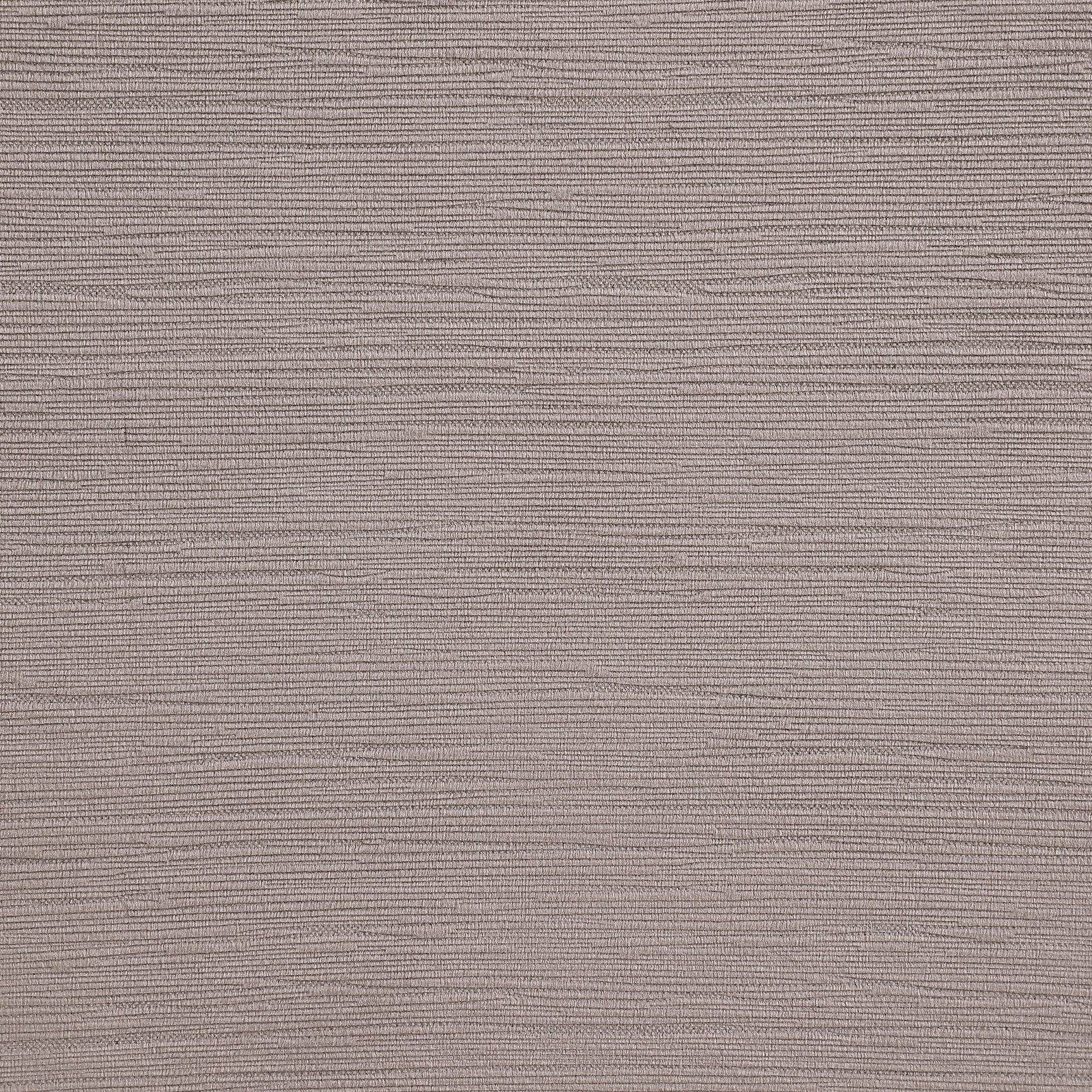 Carla Ash Side Chair (Set of 2) - Ornate Home