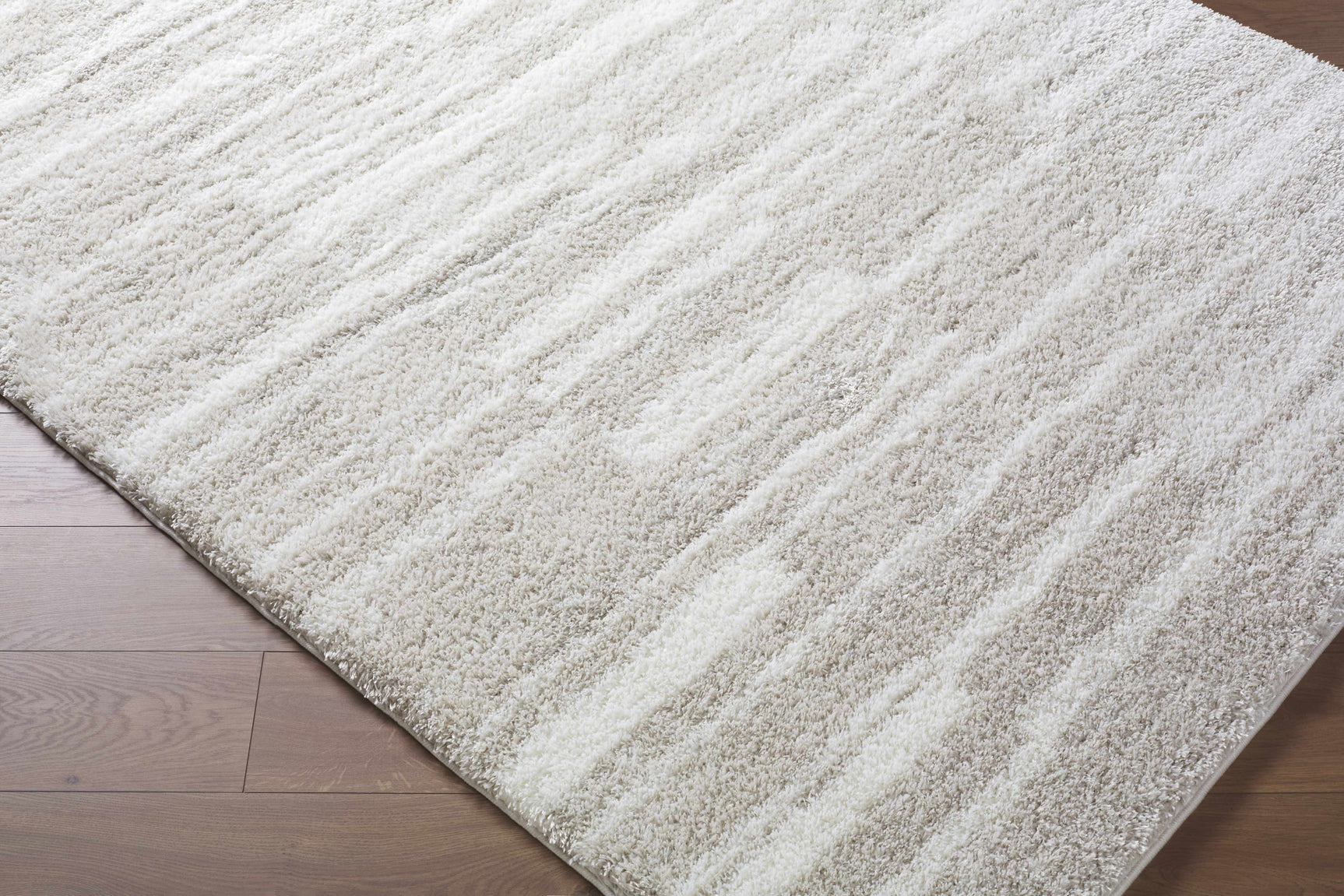 Carlen Ivory Area Rug - Ornate Home