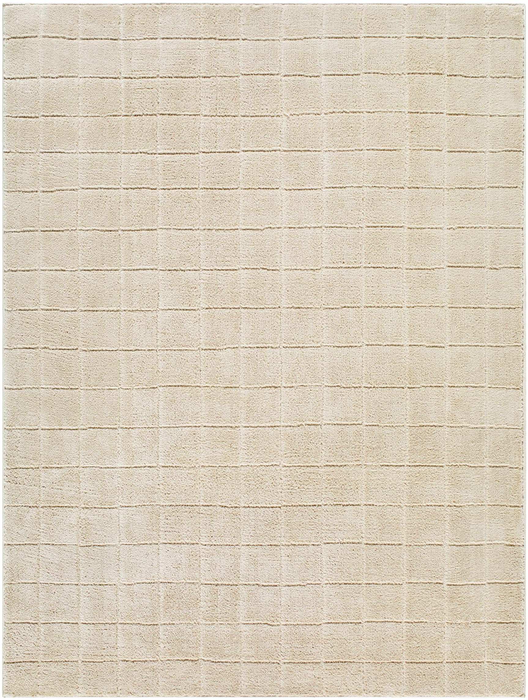 Cascade Checkered Beige Area Rug - Ornate Home