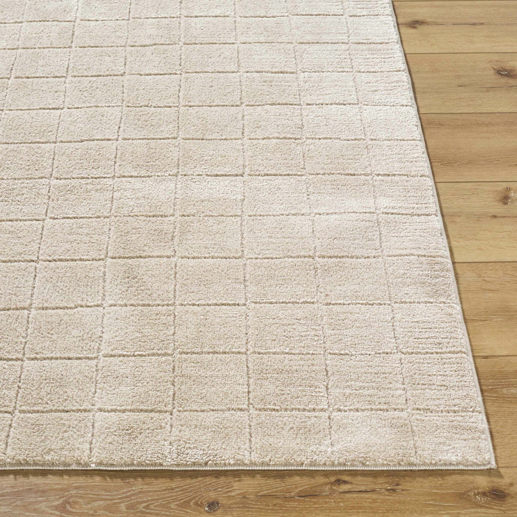 Cascade Checkered Beige Area Rug - Ornate Home
