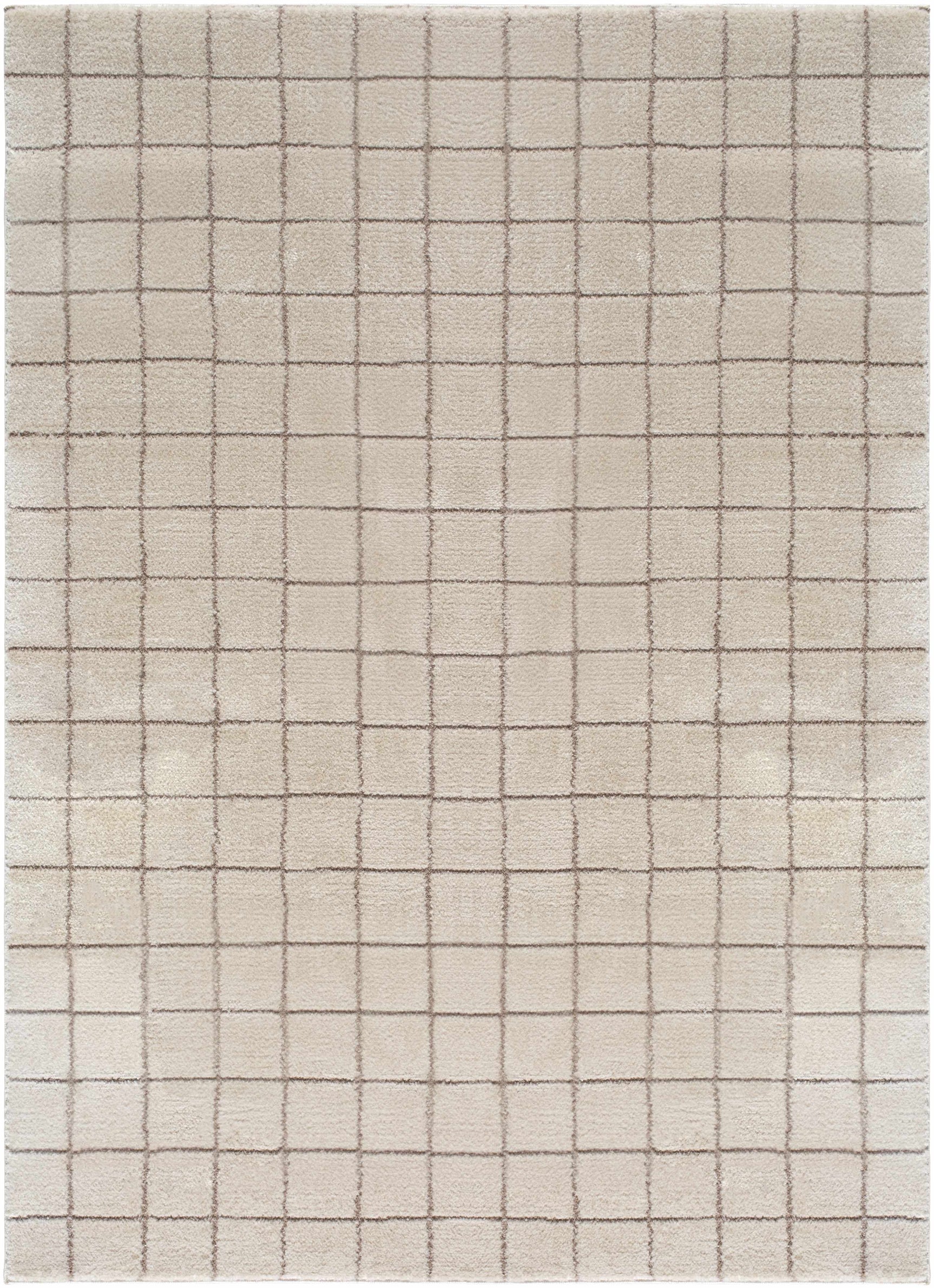 Cascade Checkered Ivory Area Rug - Ornate Home