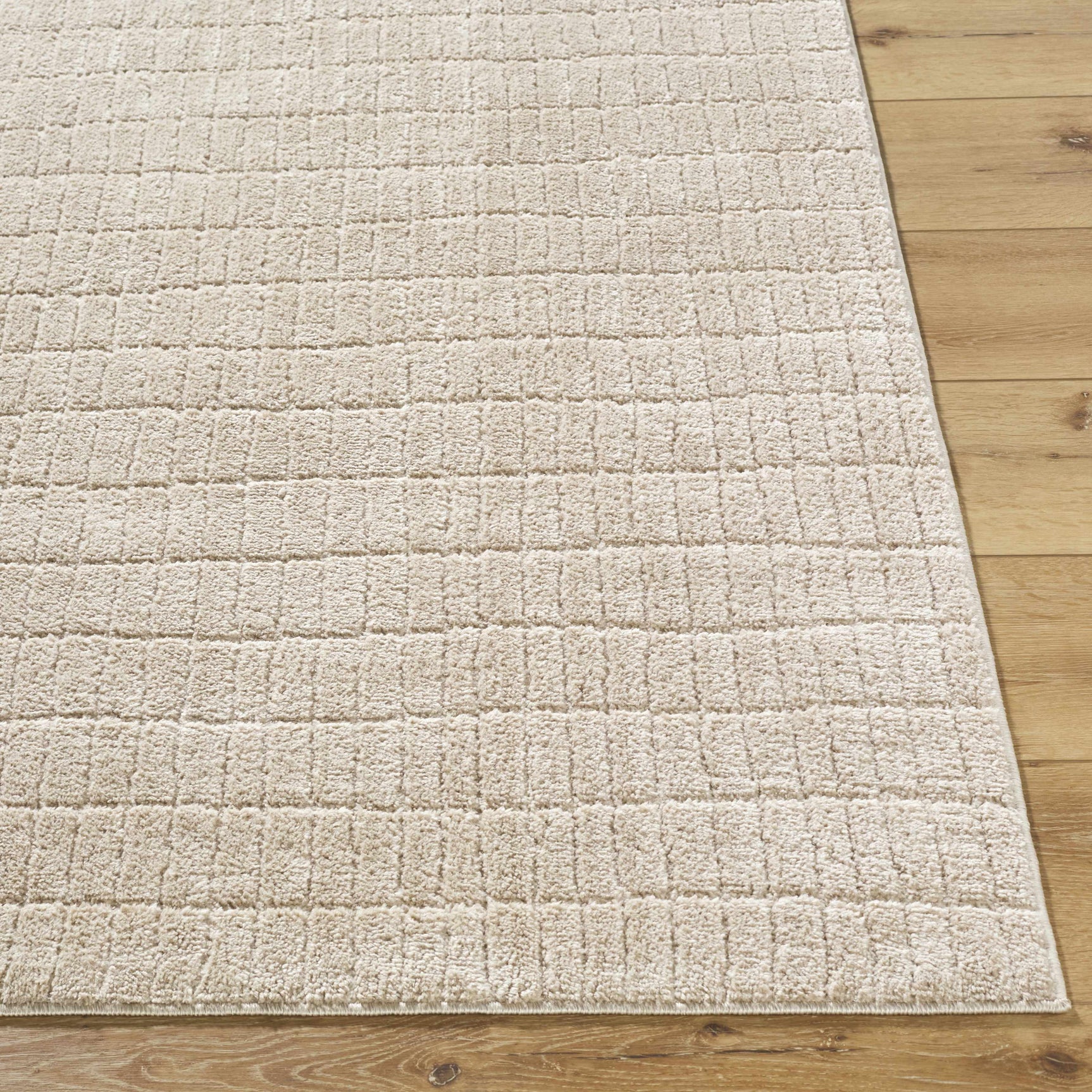 Cascade Dark Beige Area Rug - Ornate Home