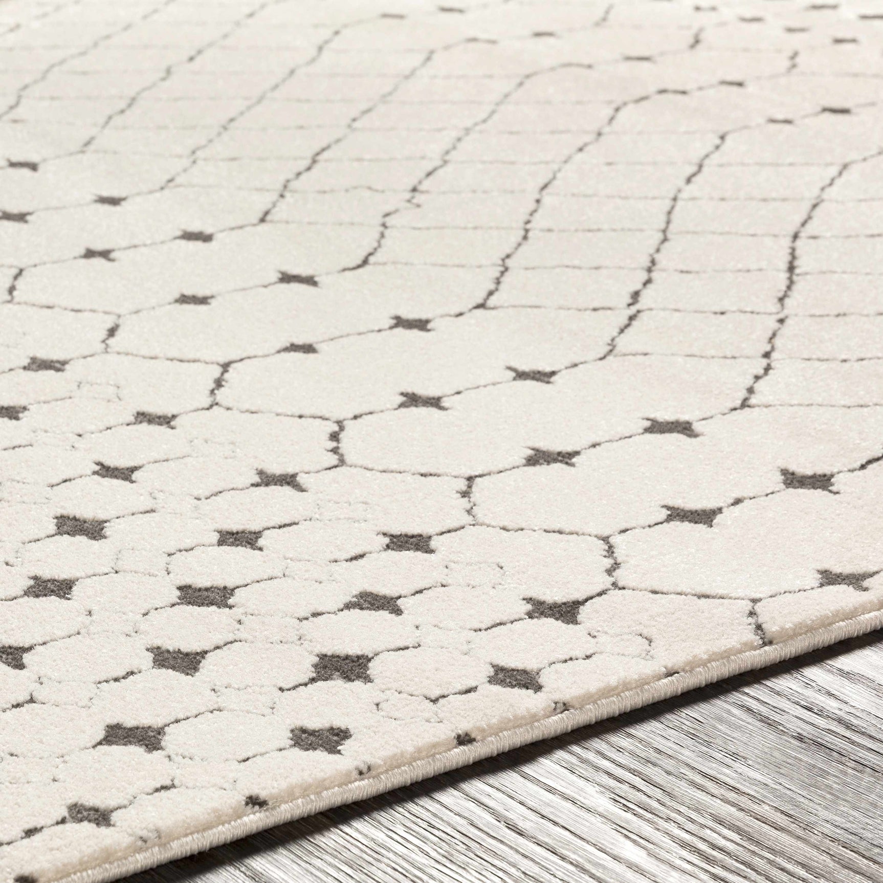 Chubbuck Moroccan Trellis Rug - Clearance - Ornate Home