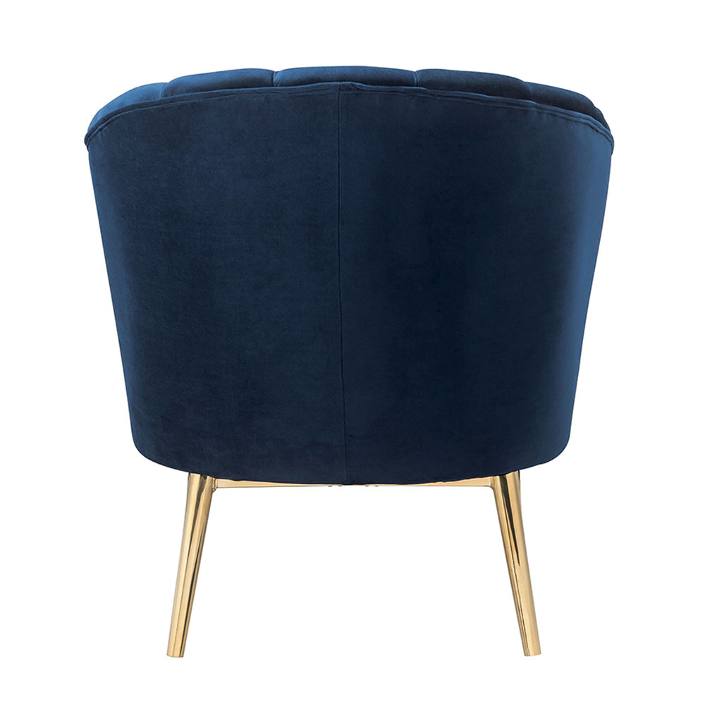 Colla Midnight Blue Velvet & Gold Accent Chair - Ornate Home