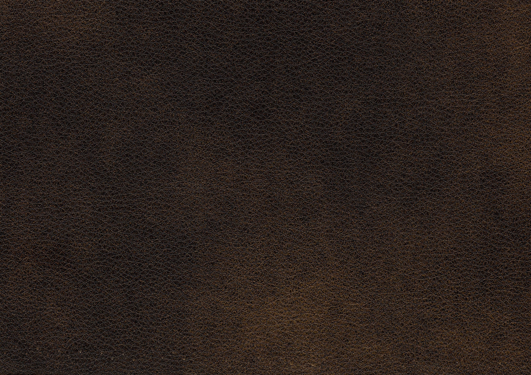 Croydon Brown Sofa - Ornate Home