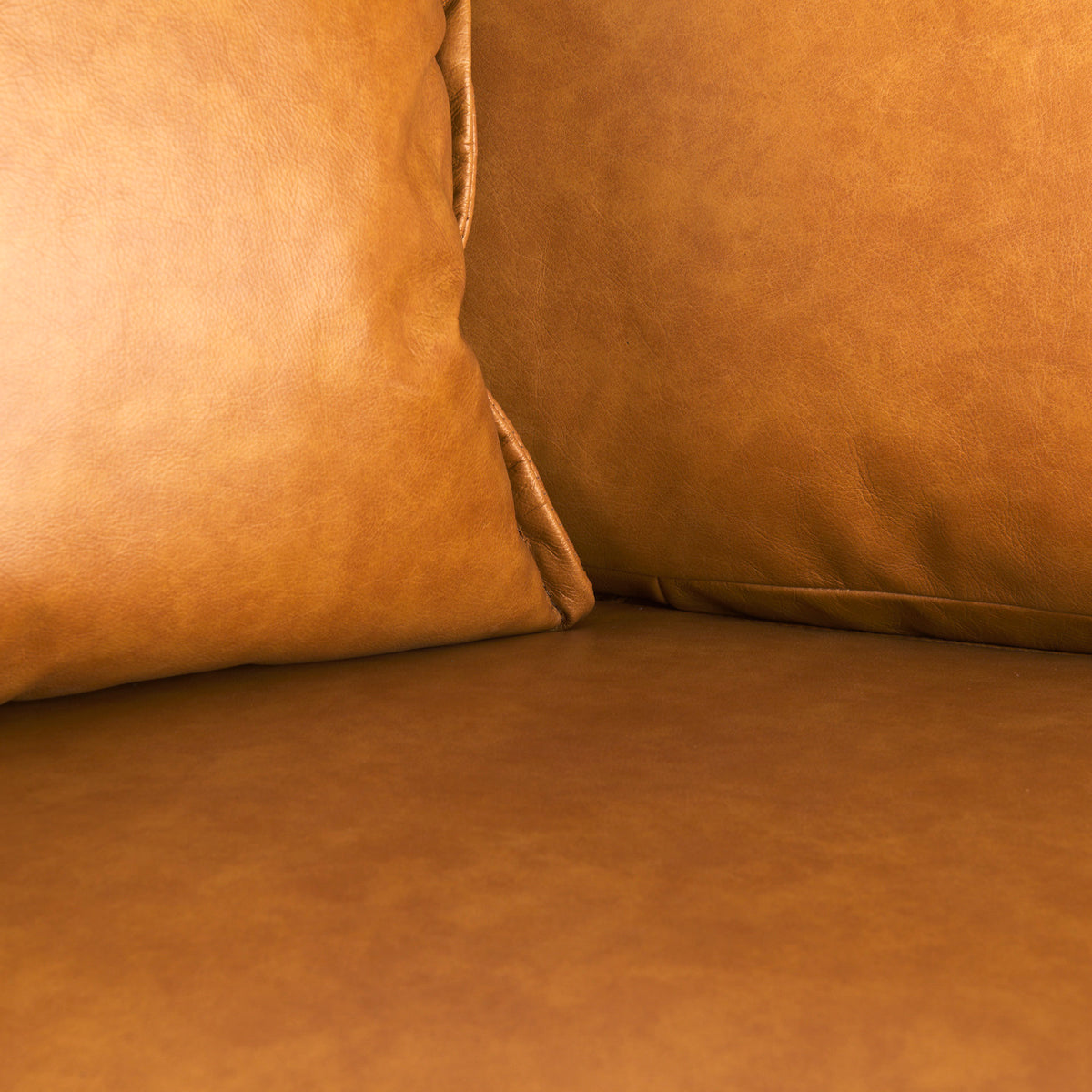 D'Arcy Tan Leather Loveseat - Ornate Home