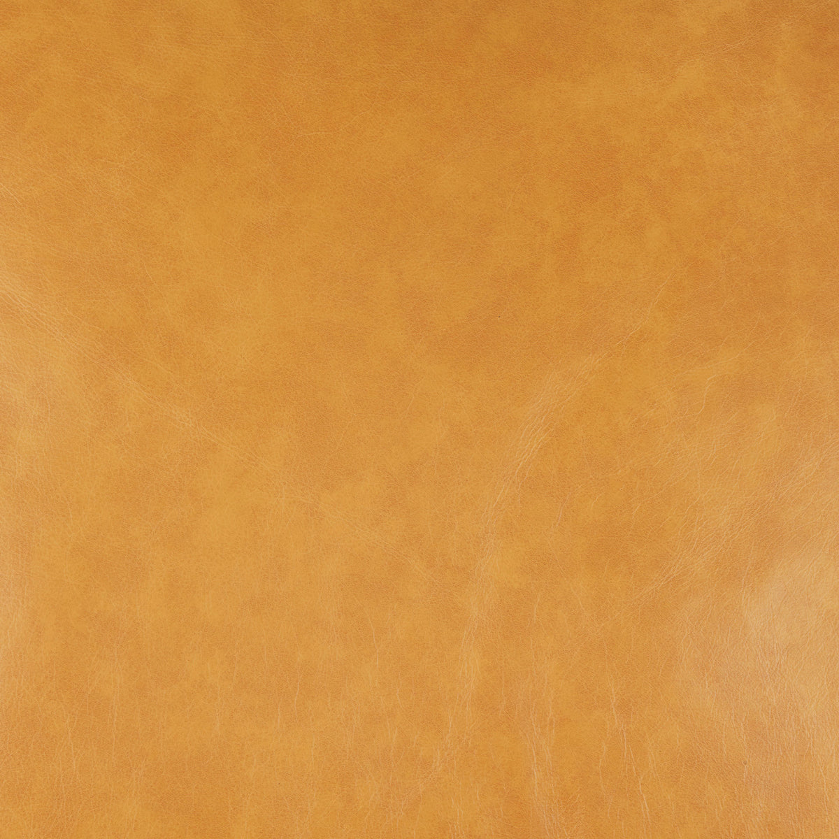 D'Arcy Tan Leather Sofa - Ornate Home