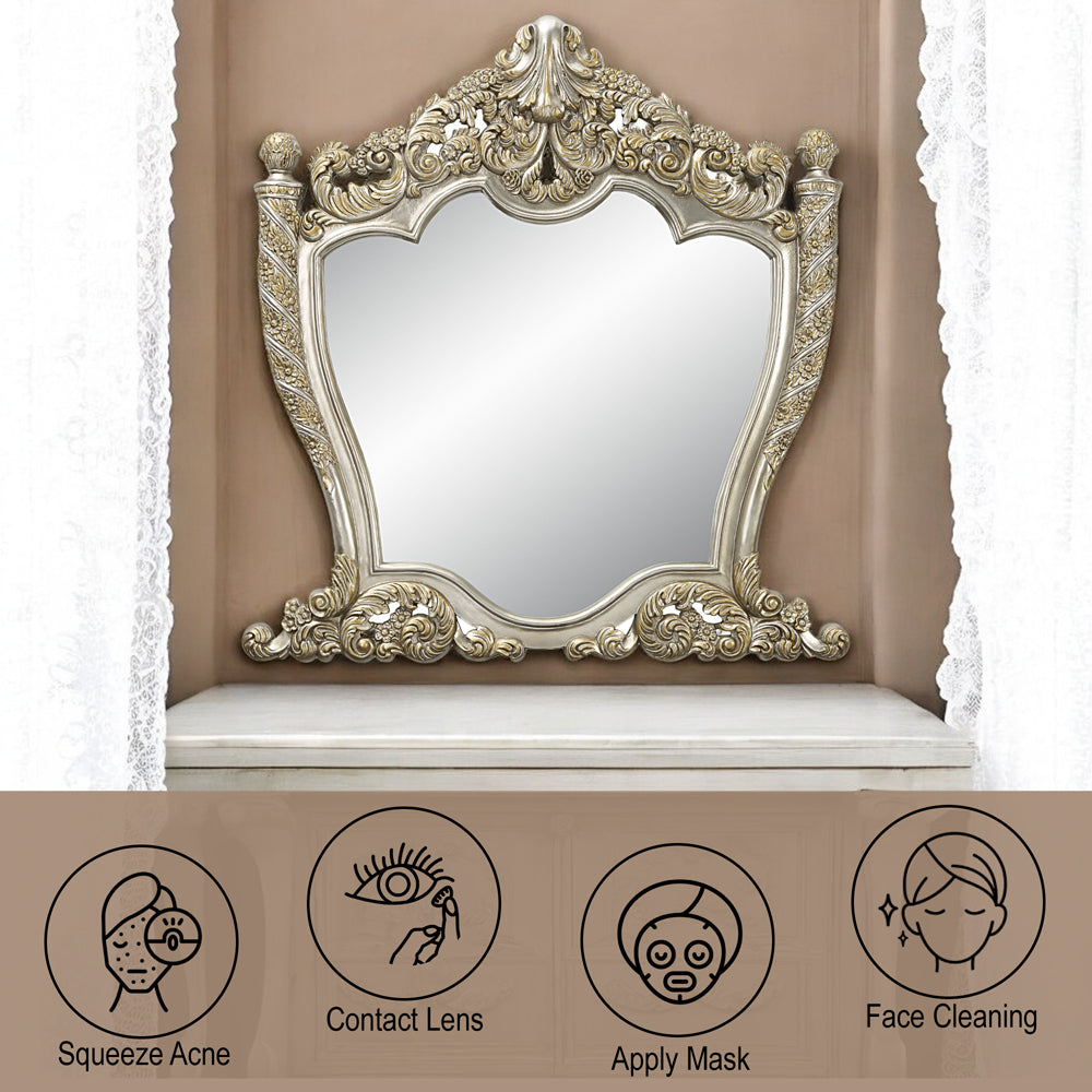 Danae Champagne Mirror - Ornate Home