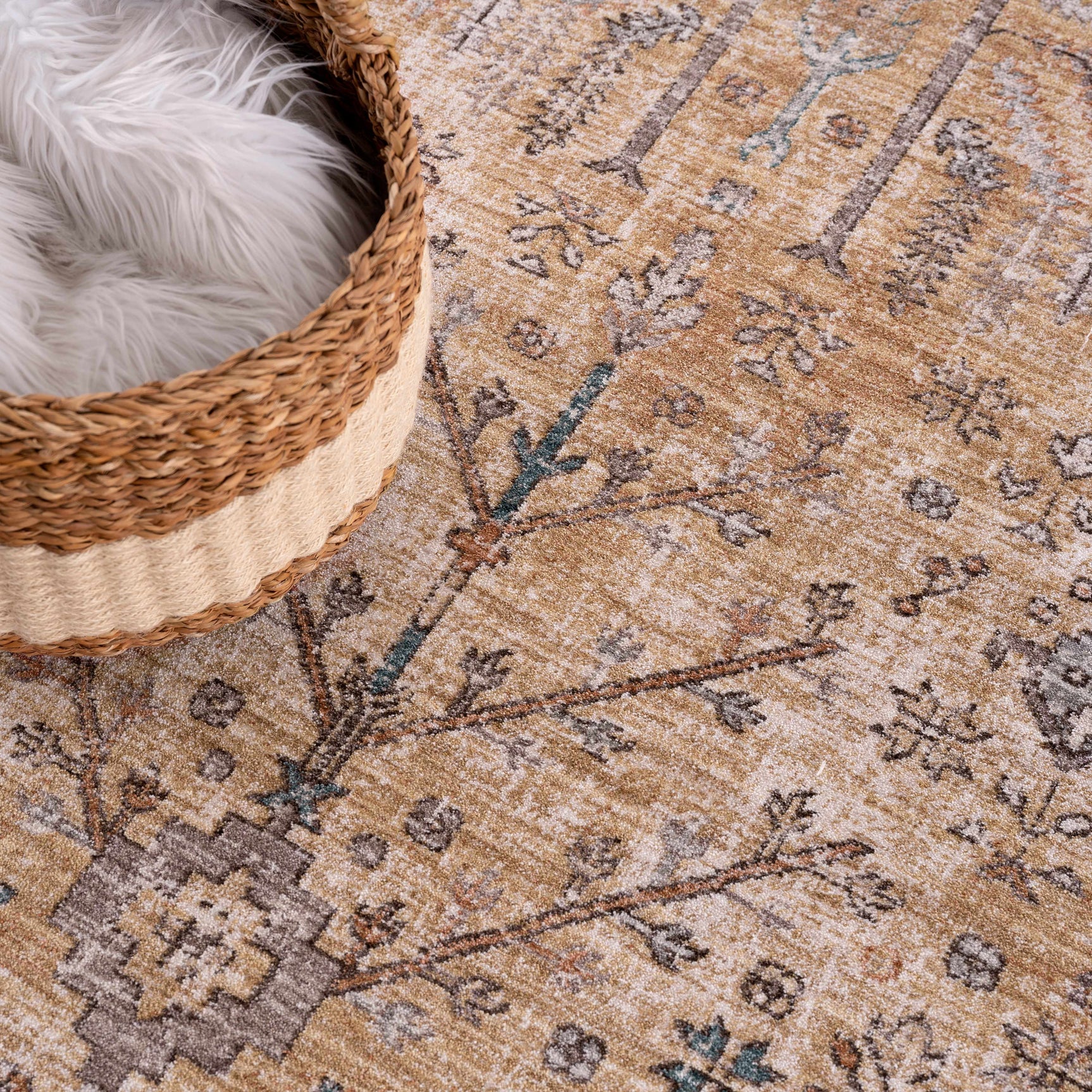 Darla Area Rug - Clearance - Ornate Home
