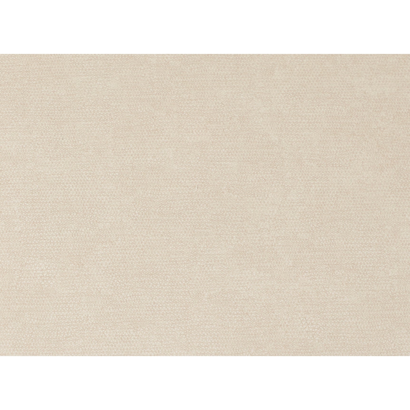 Delaney Warm Beige Dining Chair (Set of 2) - Ornate Home