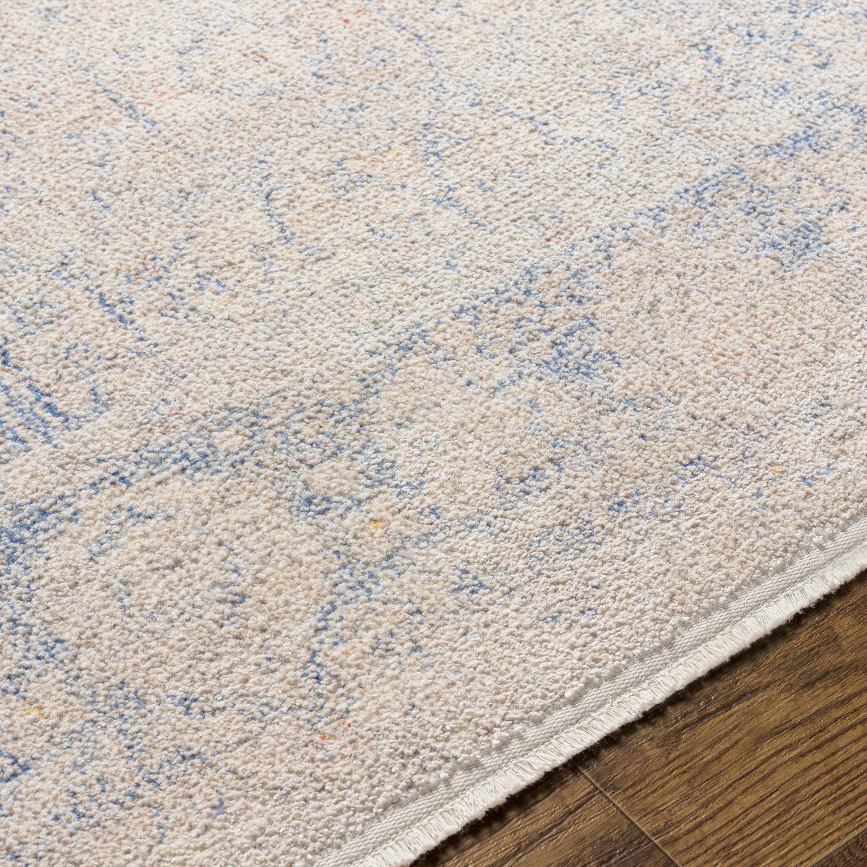 Dian Area Rug - Clearance - Ornate Home