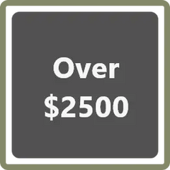 Over $2500