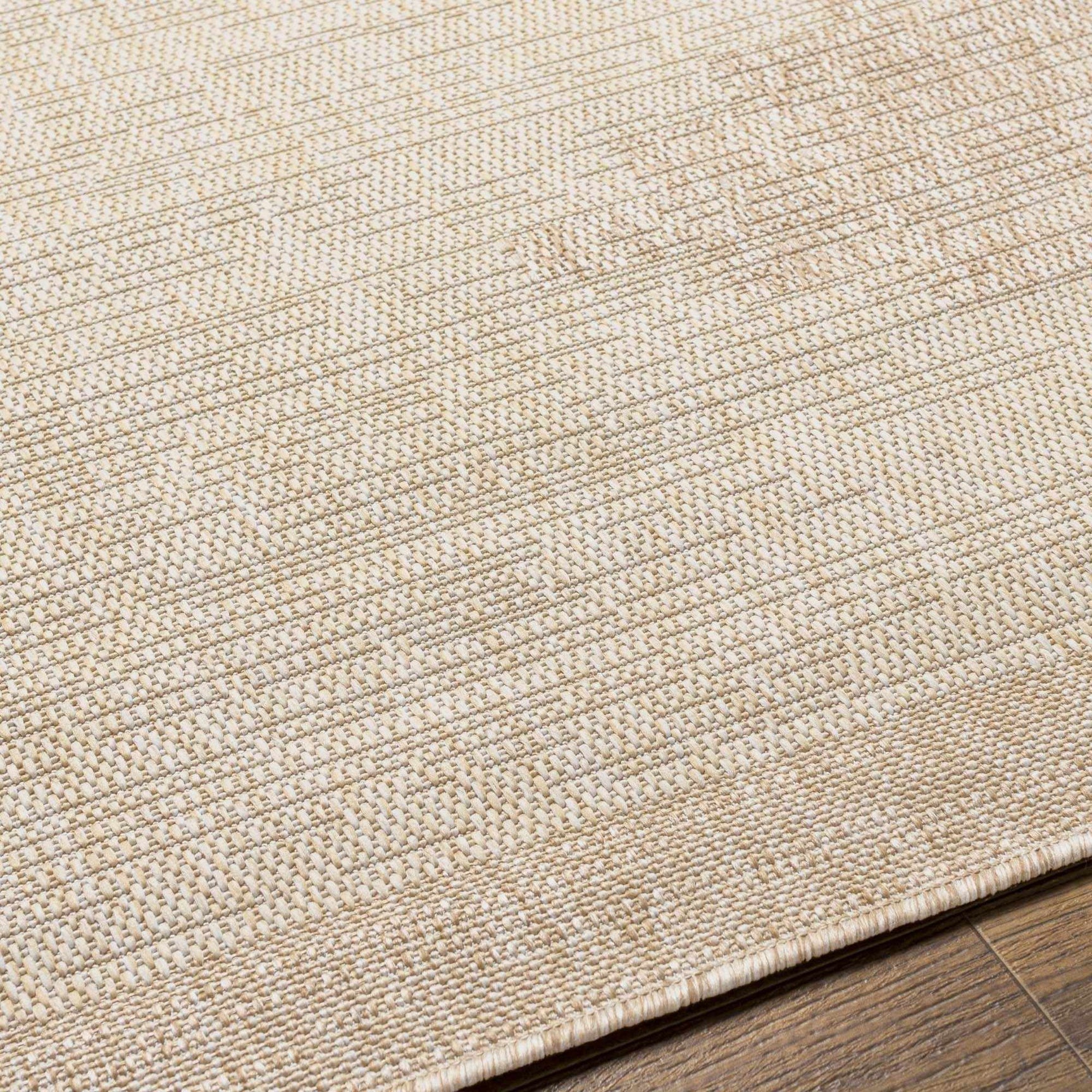 Djugun Beige Indoor & Outdoor Rug - Ornate Home