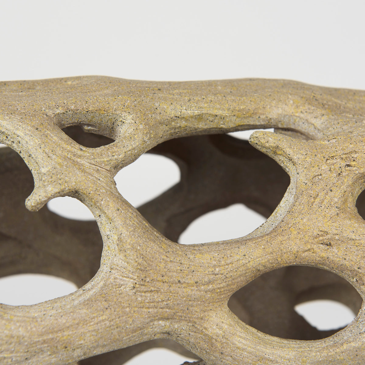 Dwell Brown Large Cholla Wood Resin Decorative Object