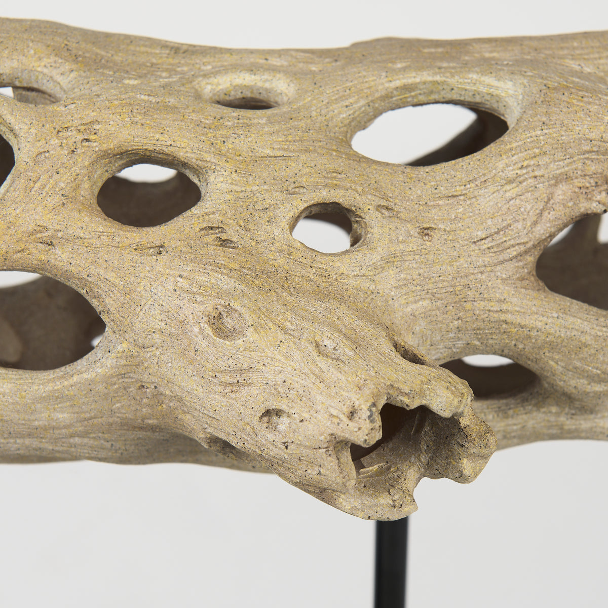 Dwell Brown Large Cholla Wood Resin Decorative Object