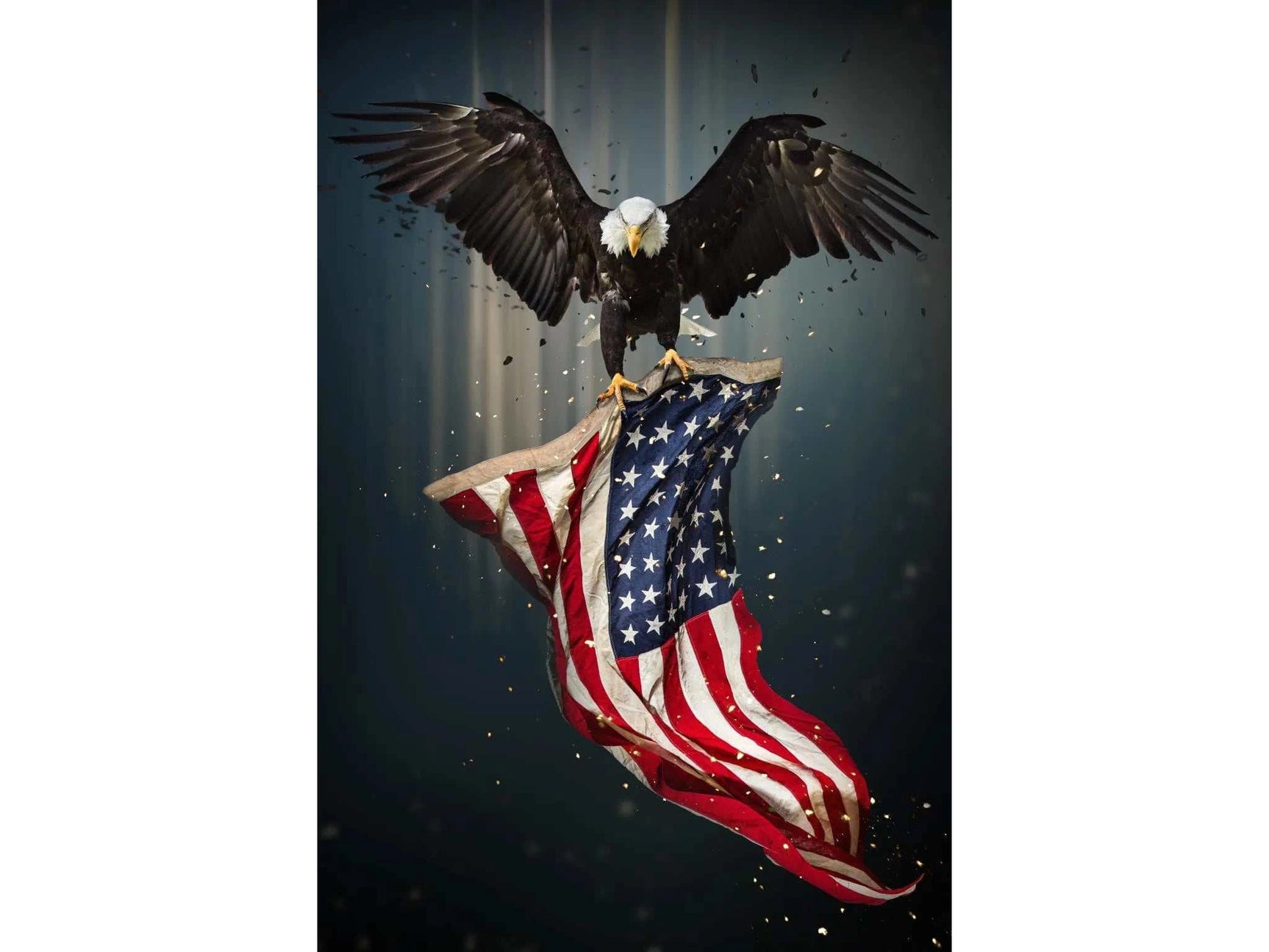 Eagle Flag Tempered Glass w / Foil Wall Art - Ornate Home