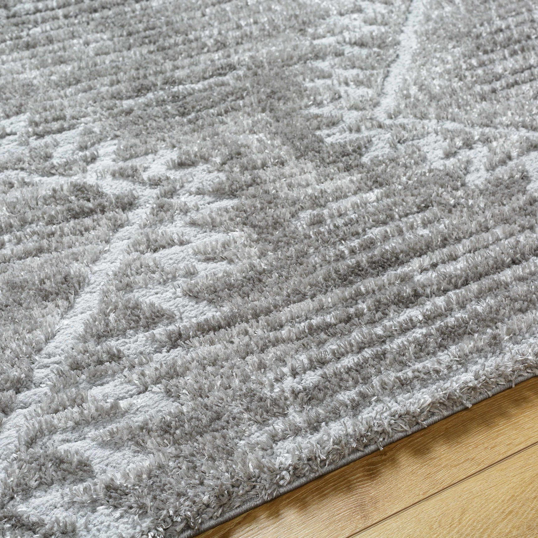 Edsel Gray Area Rug - Ornate Home