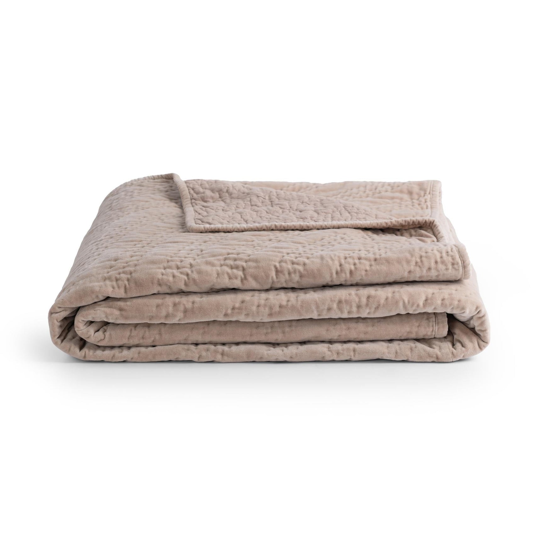 Elms Velvet Pebble Velvet Quilt Collection - Ornate Home