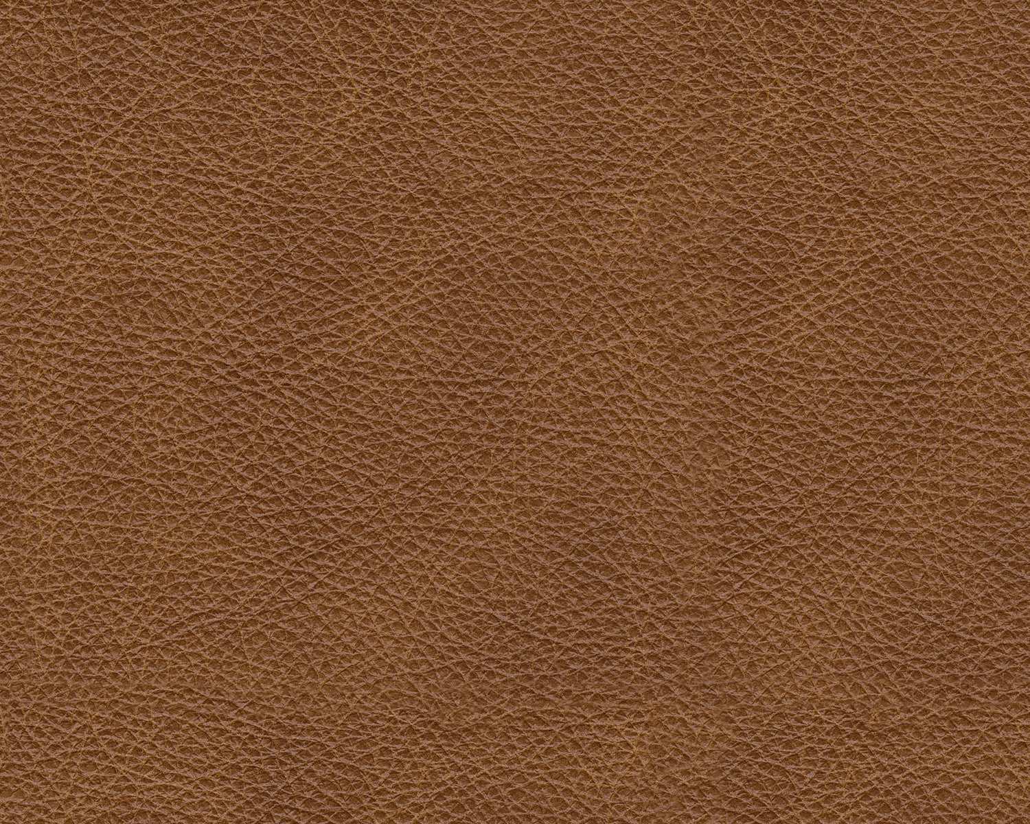 Emilia Caramel Leather 5pc Modular Sectional - Ornate Home