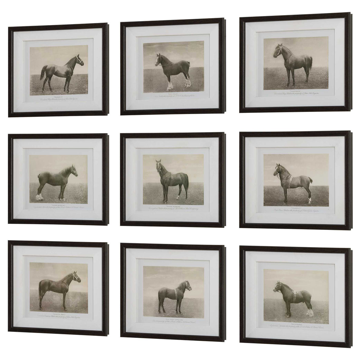 Equine Dynasty Multicolor Framed Prints (Set of 9) - Ornate Home