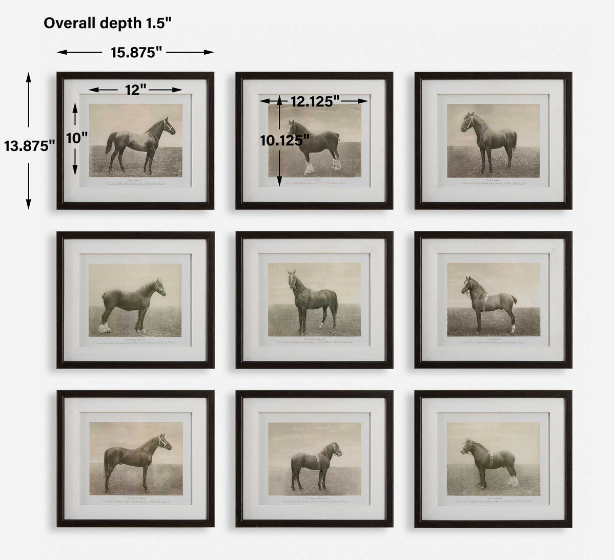 Equine Dynasty Multicolor Framed Prints (Set of 9) - Ornate Home
