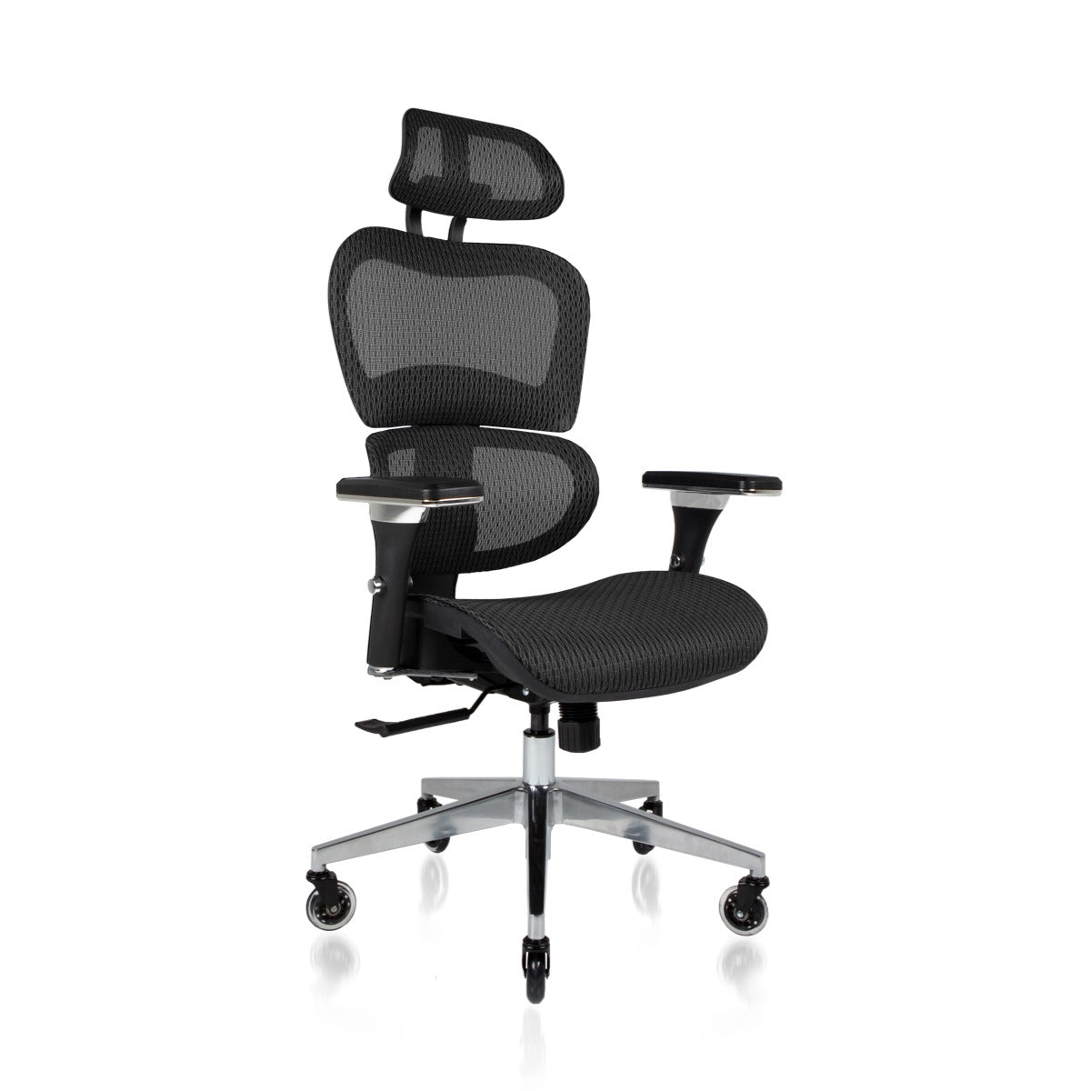 NOUHAUS Ergo3D Ergonomic Office Chair
