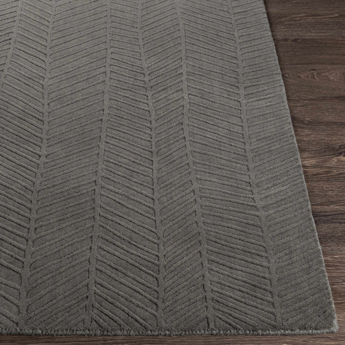 Everson Carpet Area Rug - Clearance - Ornate Home
