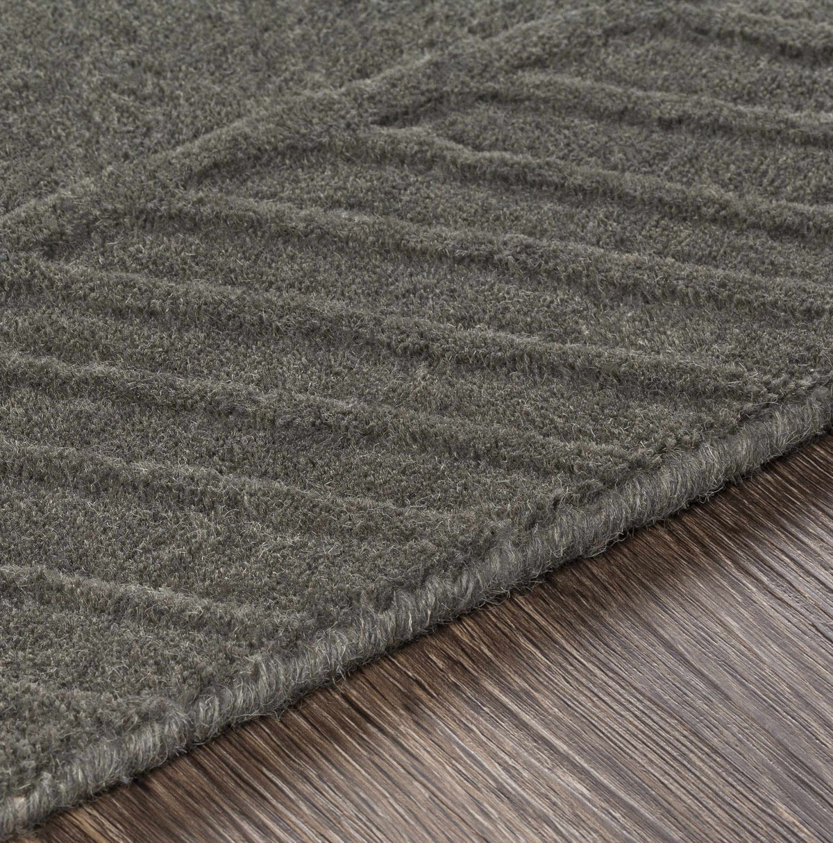 Everson Carpet Area Rug - Clearance - Ornate Home