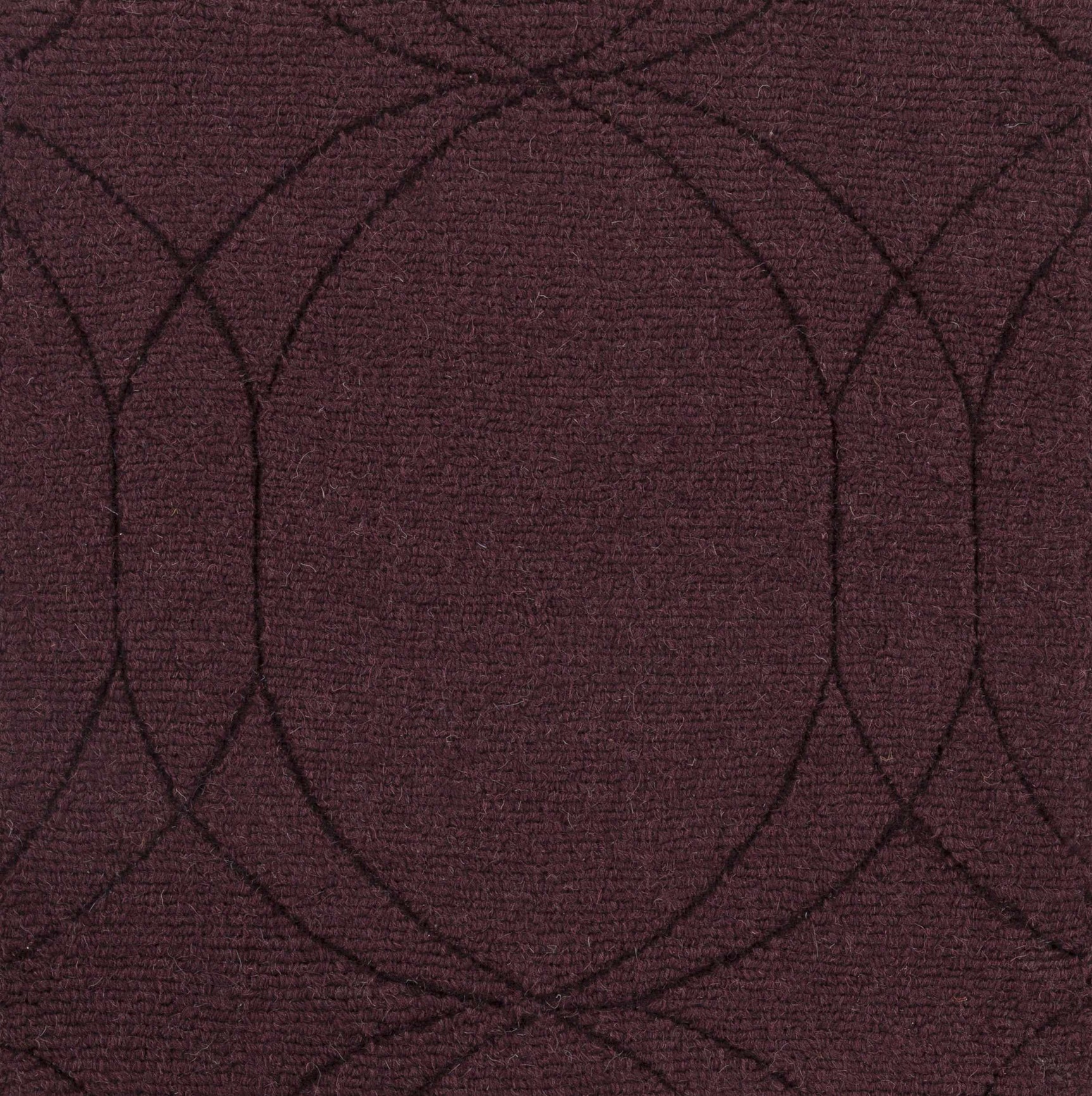 Fintona Area Rug - Clearance - Ornate Home