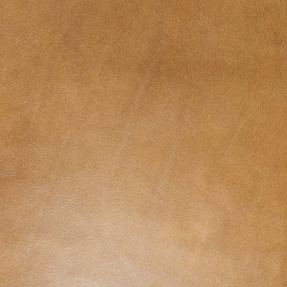 Fonda Tan Dining Chair - Ornate Home