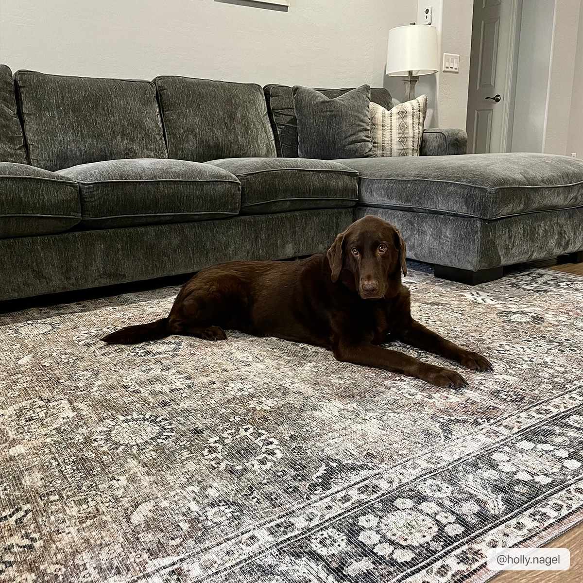 Ganyangan Washable Rug - Ornate Home