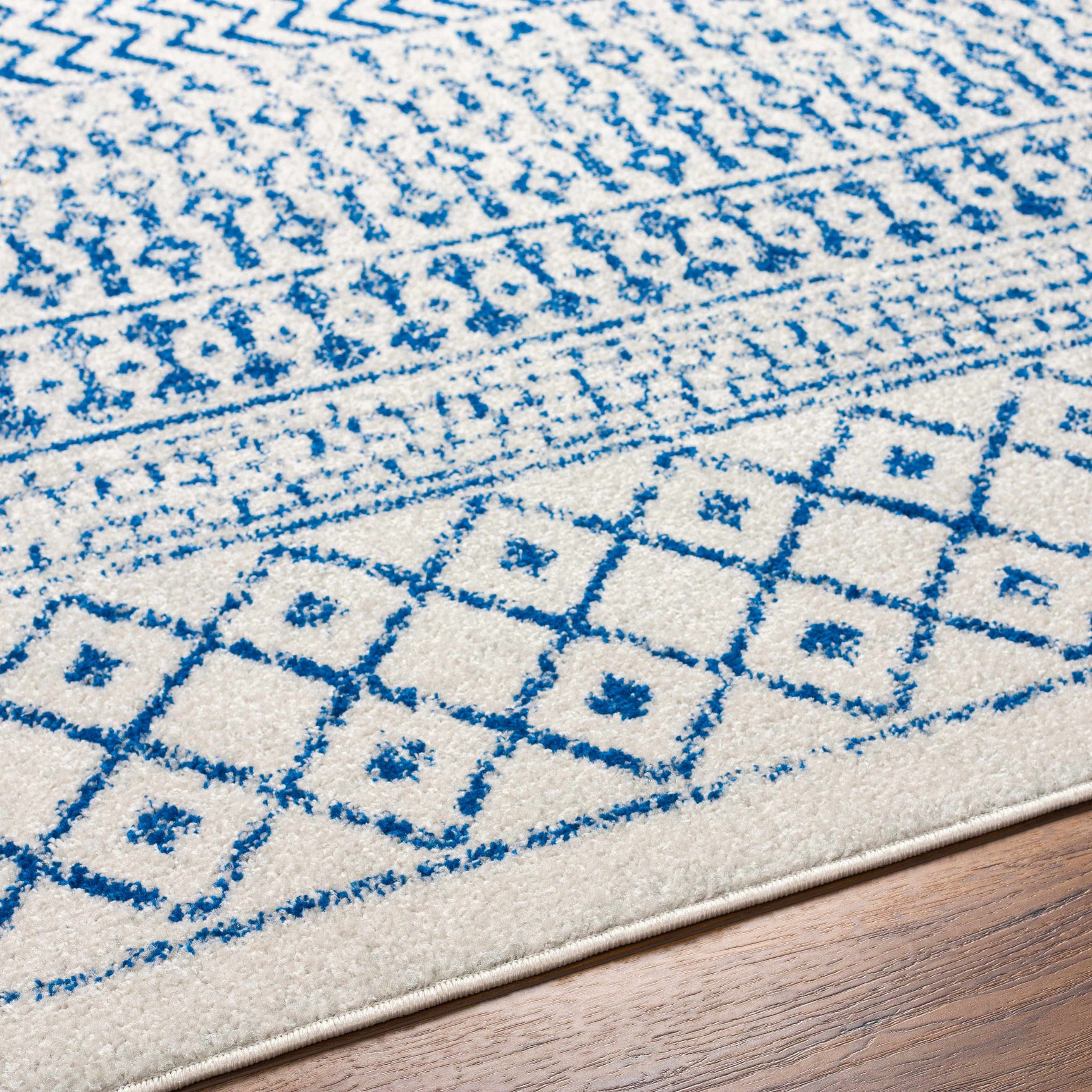 Gaura Area Rug - Ornate Home
