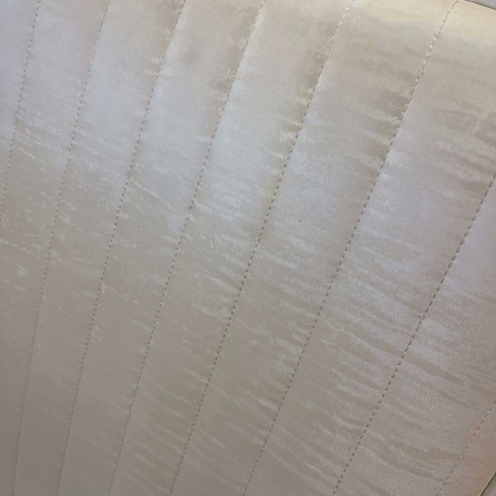 Gianna Ivory Faux leather & Stainless Steel Side Chair (Set of 2) - Ornate Home